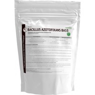  Bacillus azotofixans 55 - 