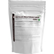  Bacillus megaterium subsp. terra - 