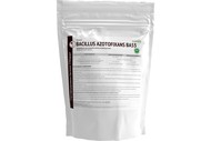  Bacillus azotofixans BA55